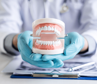Dentista com dentadura nas mãos