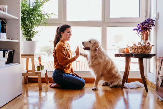 Jovem mulher, numa sala, brinca com o seu animal de estimação: um cão.