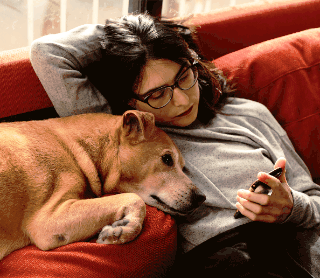 Mulher descansa no sofá com o seu cão e usa o telemóvel.
