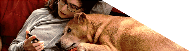 Mulher descansa no sofá com o seu cão e usa o telemóvel.