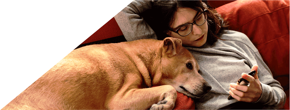 Mulher descansa no sofá com o seu cão e usa o telemóvel.