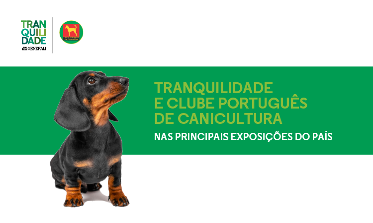 clube português de canicultura clube português de canicultura