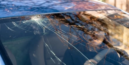 Rapariga jovem, com expressão de surpresa, dentro de um carro com o vidro para-brisas partido.